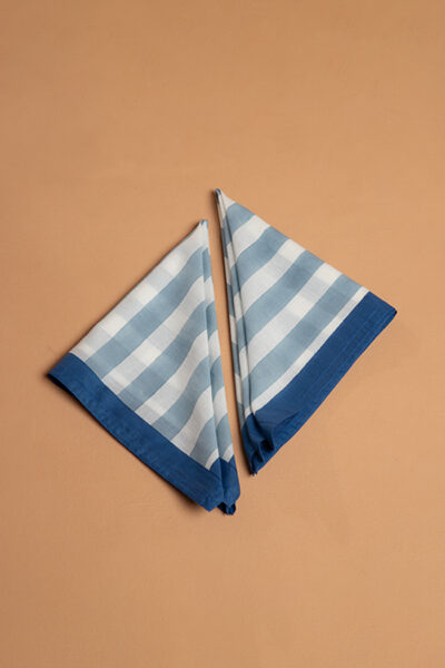 Blue Stripes Napkins Blue set of Two