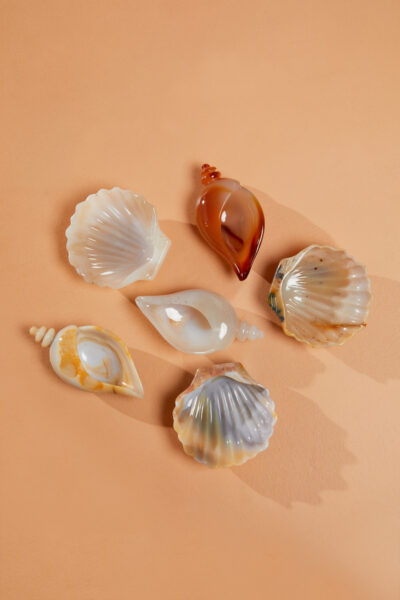 Agate Shell Set